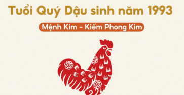 Người sinh năm 1993 tuổi Quý Dậu, thuộc mệnh Kim