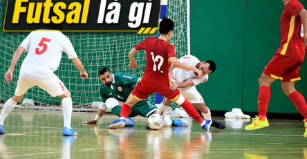 Futsal là môn bóng đá trong nhà có nhịp độ nhanh, kỹ thuật cao và luật chơi riêng biệt. 