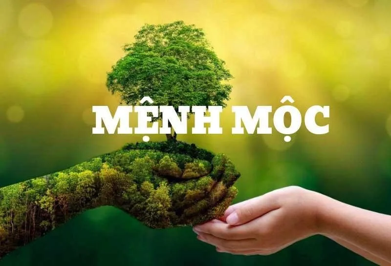 menh moc hop mau gi