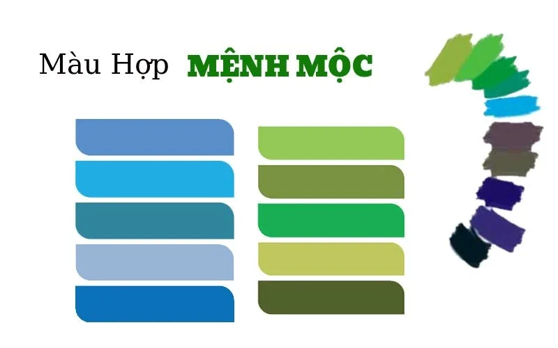menh moc hop mau gi