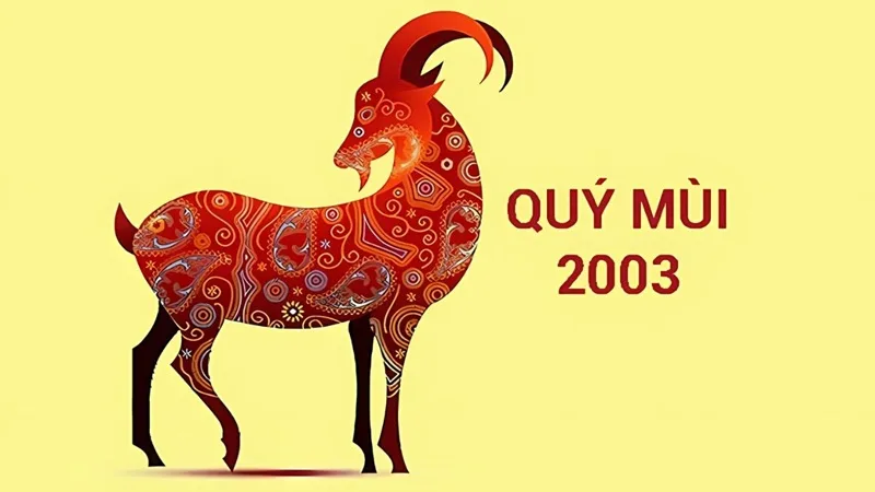2003 menh gi
