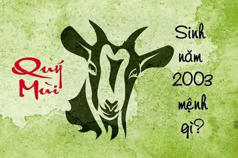 2003 menh gi
